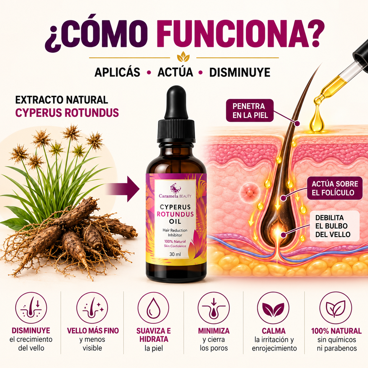 Cyperus Rotundus Oil™ | Aceite para el Cuidado Corporal – 2x1