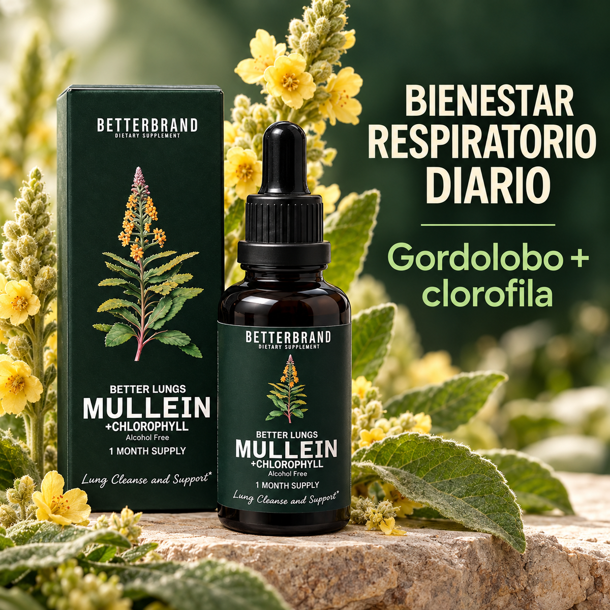 BetterBrand Mullein Detox Pulmonar 60 ml - Oferta 2x1
