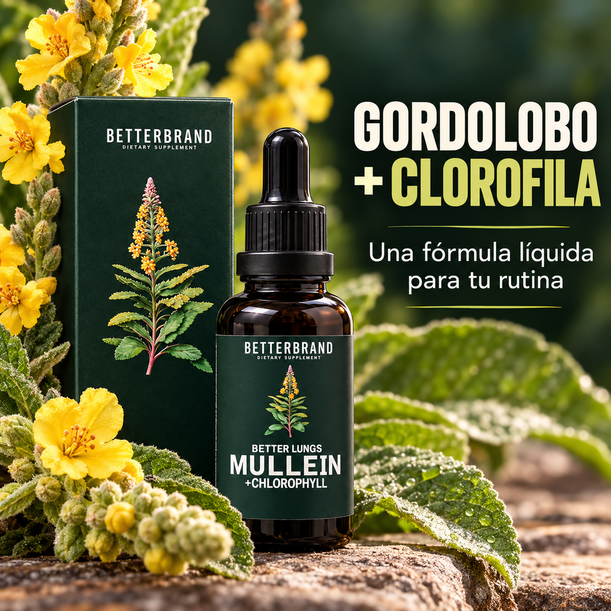 BetterBrand Mullein Detox Pulmonar 60 ml - Oferta 2x1